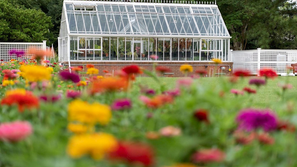 Executive Chef Notes from the Garden