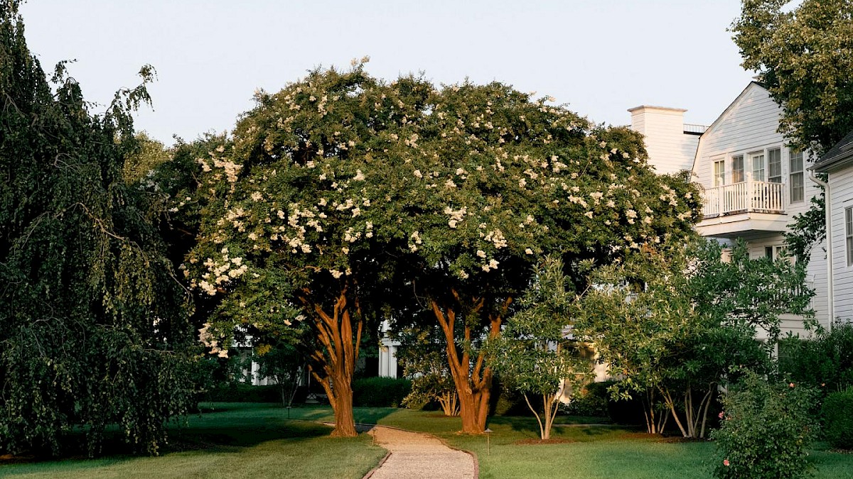Garden Tours by Our Horticulturalist