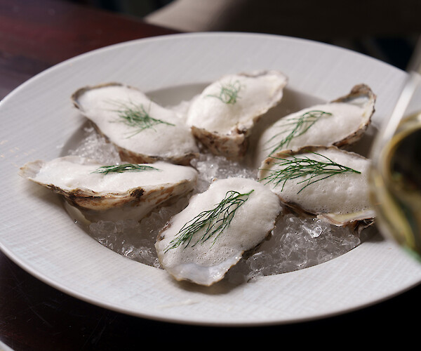 A plate with six oysters on ice, topped with foam and garnished with dill, beside a glass of white wine.