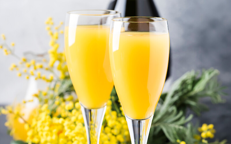 Two glasses filled with orange juice against a backdrop of yellow flowers and greenery.