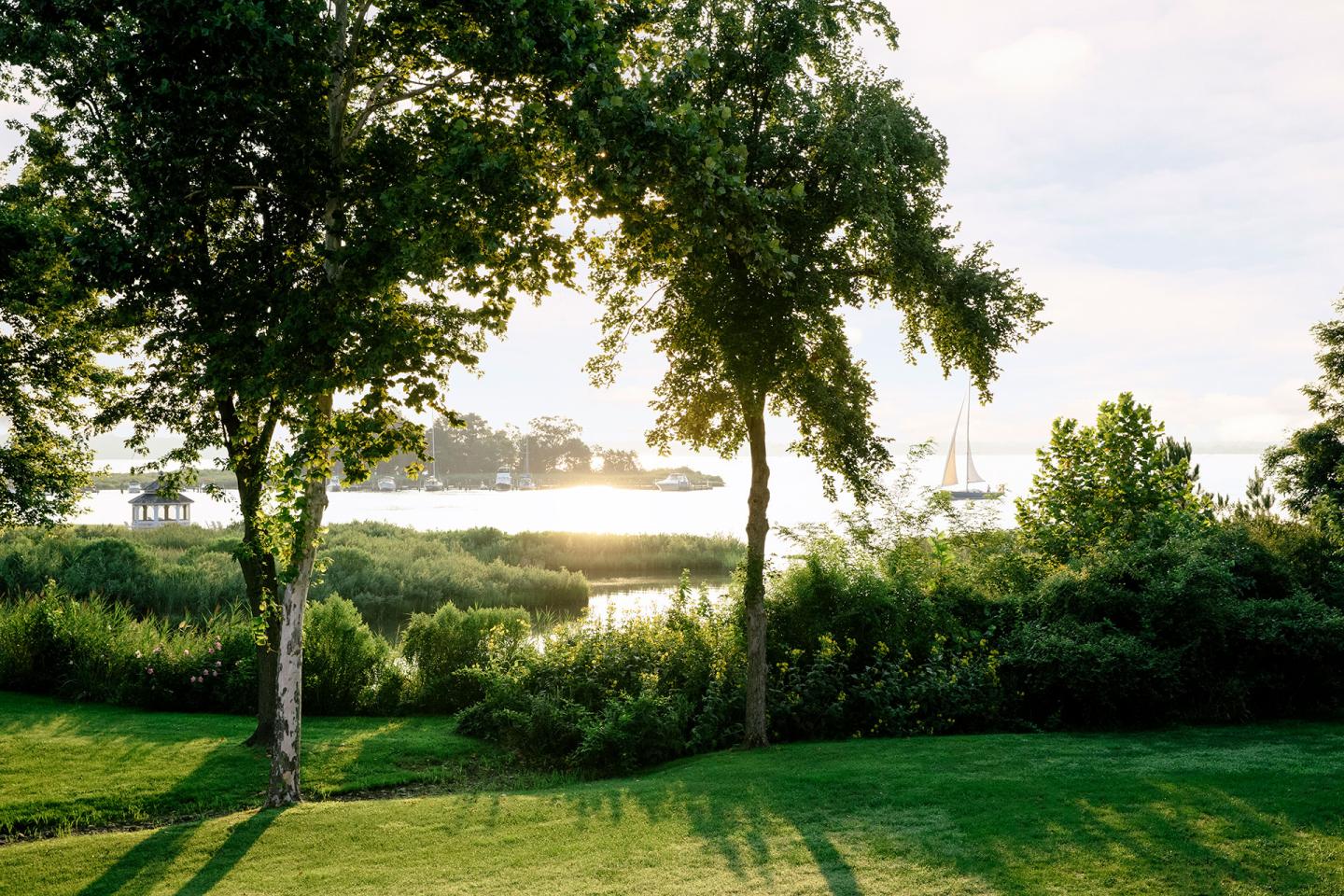 Sunset through the trees