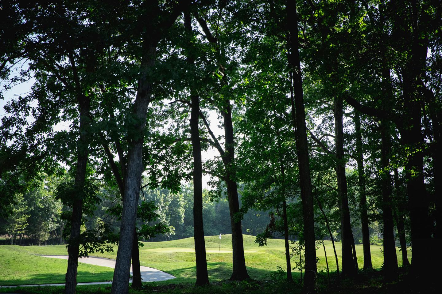 View through the trees of a golf course