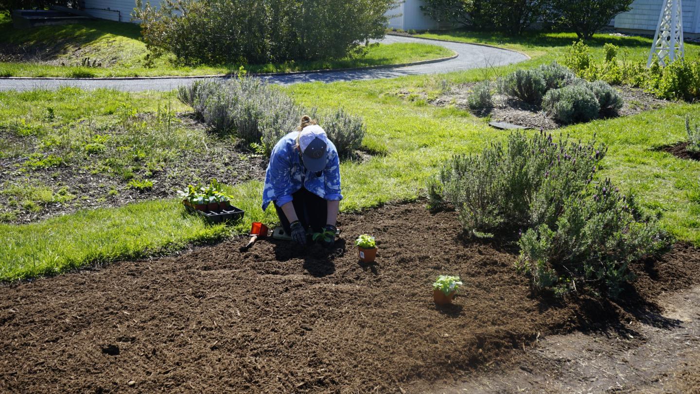 Woman gardening