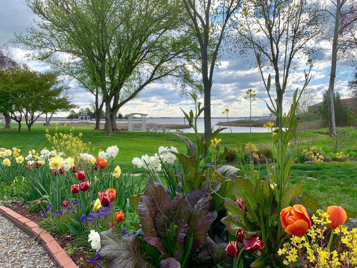 Flower garden at Inn at Perry Cabin