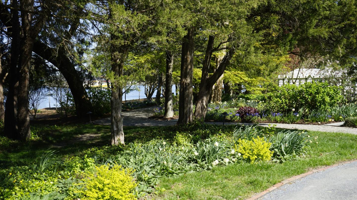 Walking path through flower garden