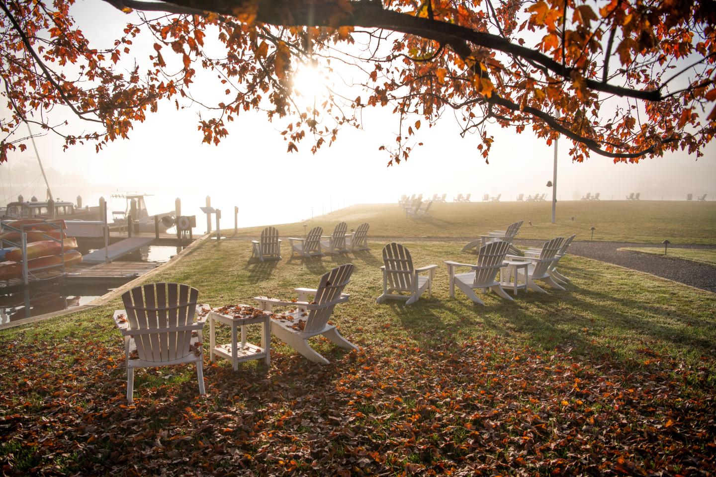 Fall Morning