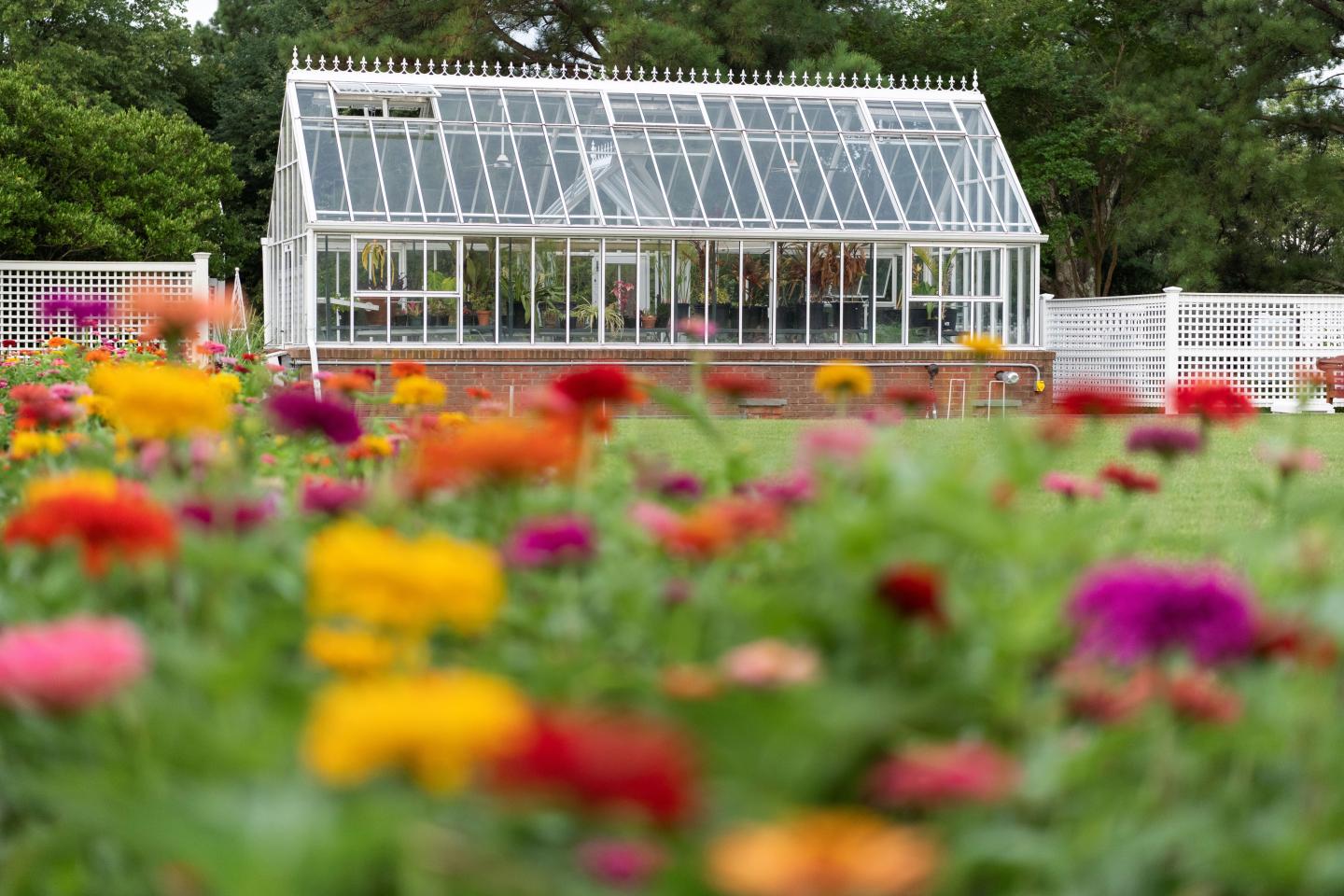 Gardens and Greenhouse