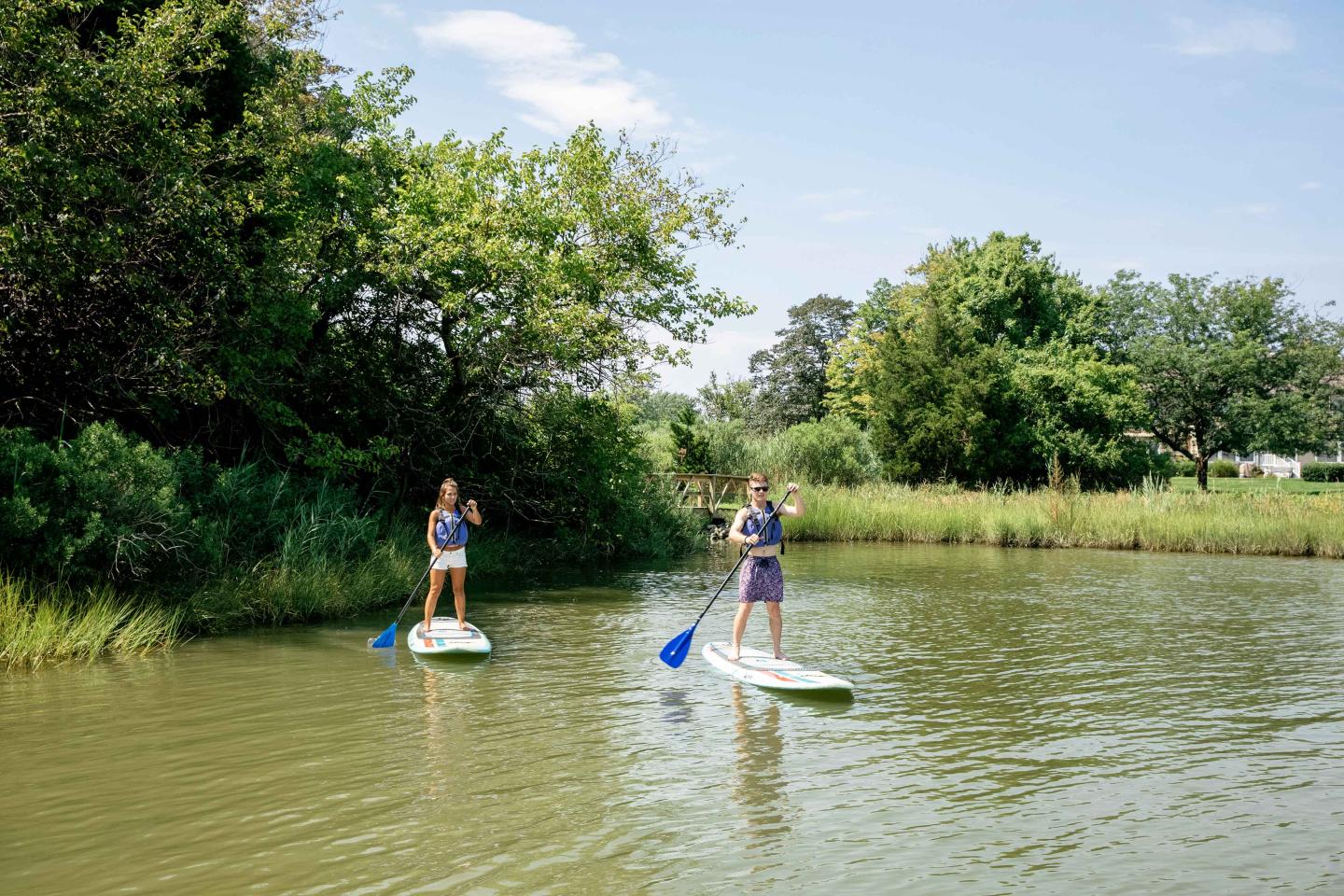 Paddleboarders