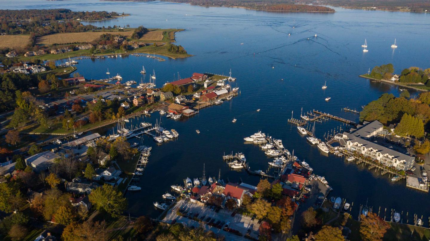 Boats in the harbor