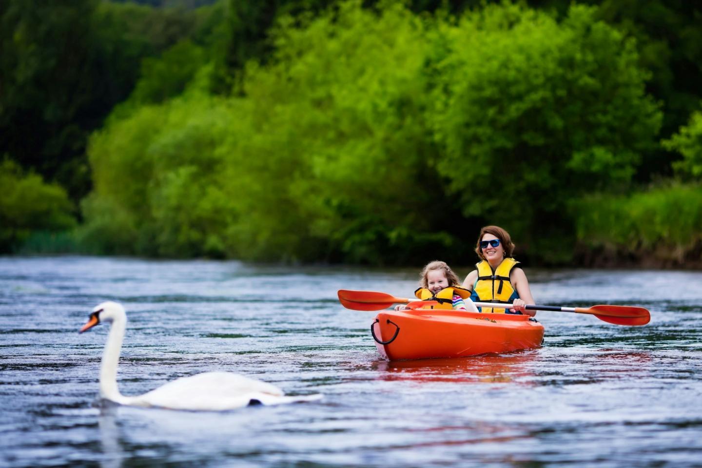 A mother and daughter on a kayak near a swan