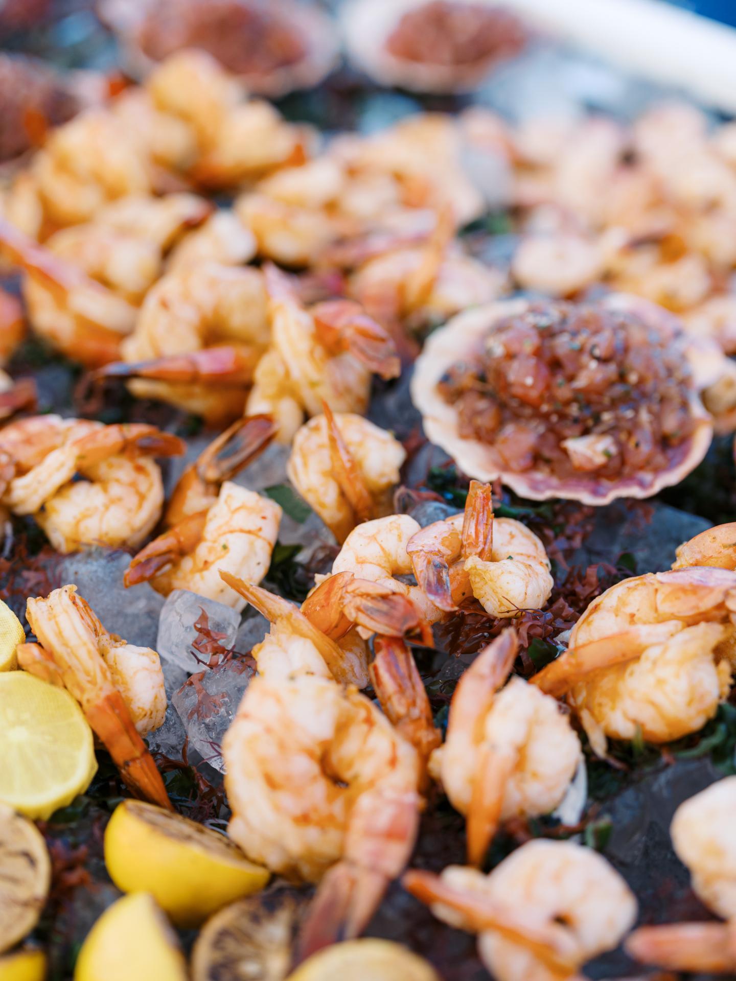 Fresh shrimp raw bar display