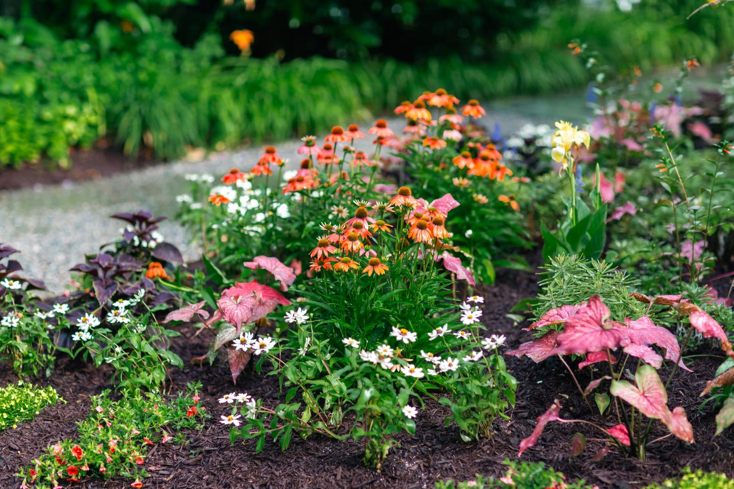 Summer gardens along the property paths
