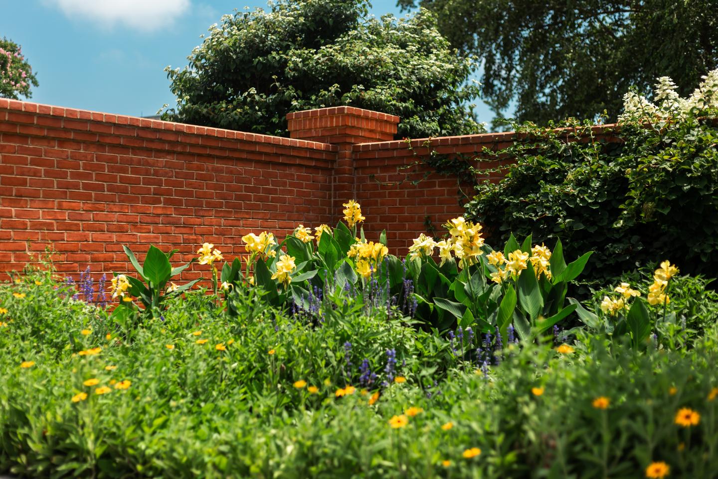 Garden beds at the pool