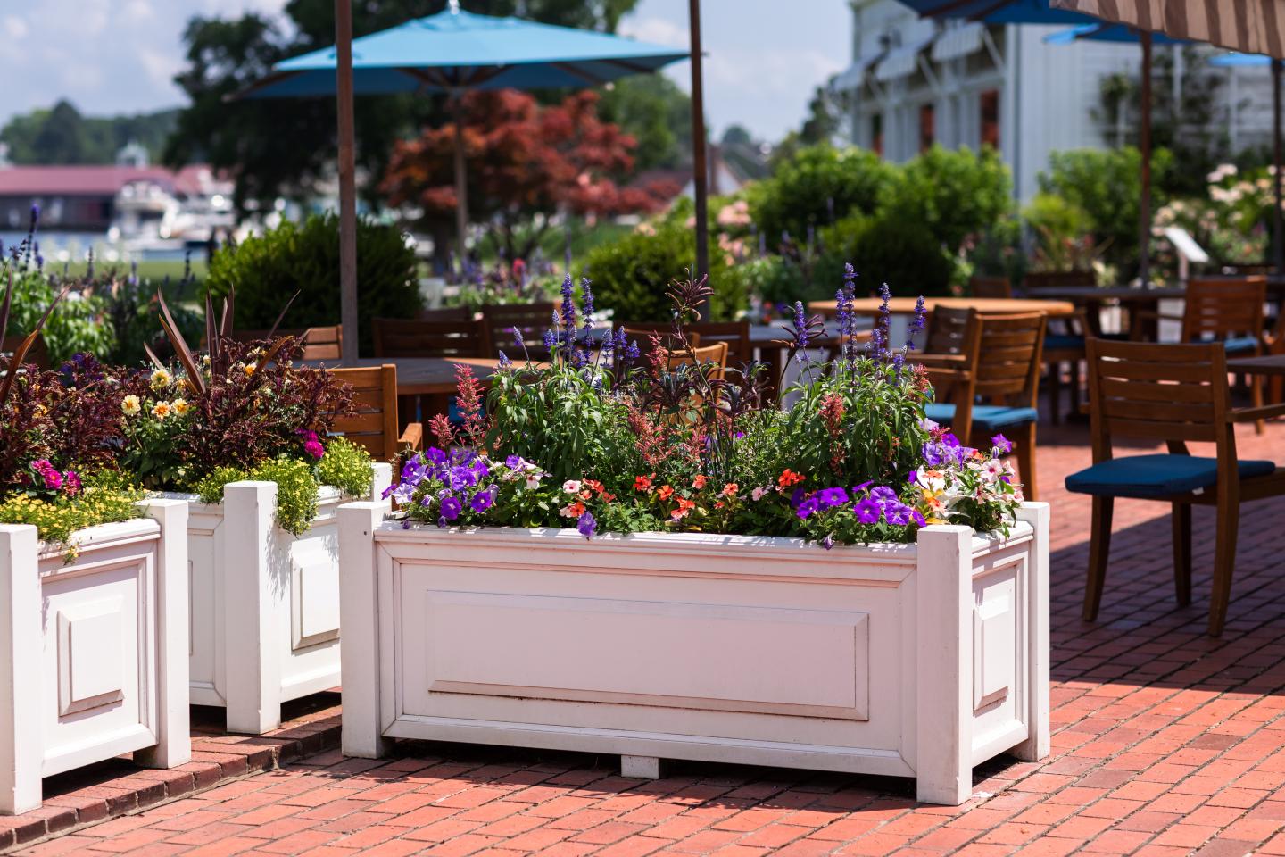 STARS Waterfront Terrace Garden planters