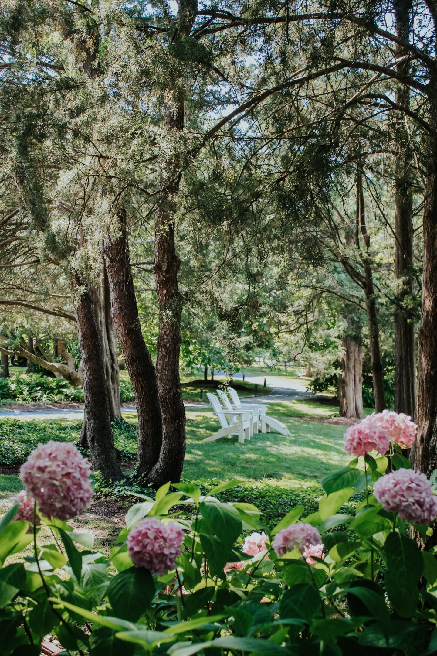 Secluded Adirondack chairs surrounded by lush foliage and blooms