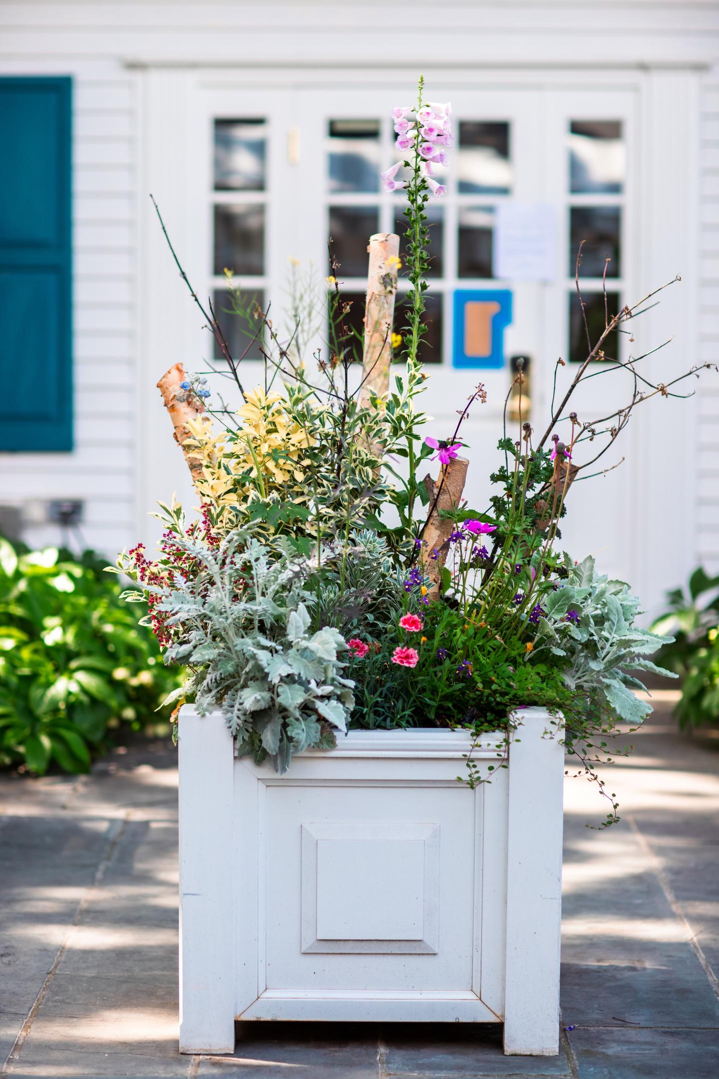 planter full of blooms near entrance