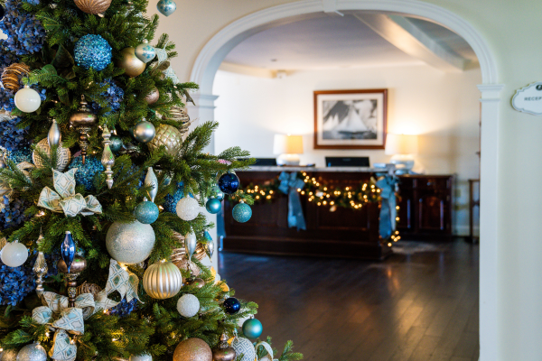 Christmas Tree and Decor in Lobby