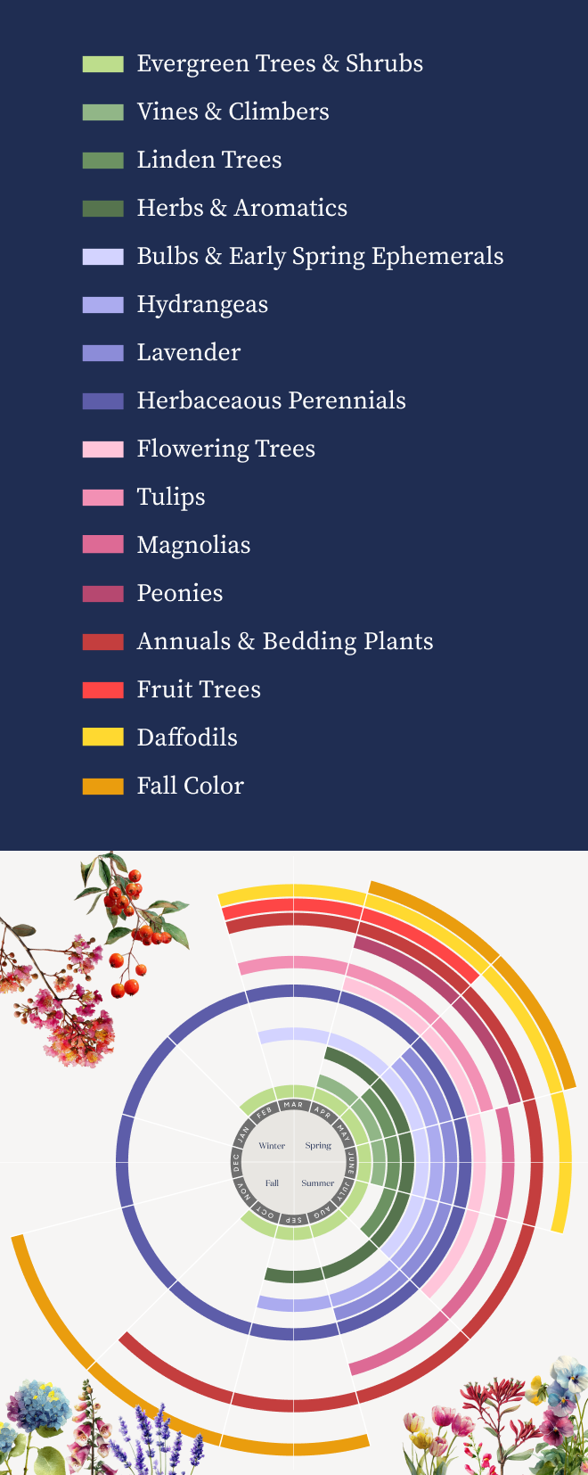 Color-coded circular chart of plant categories and bloom times.