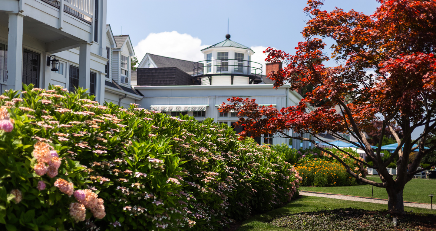 White building with blooming flowers and a red-leaved tree under a clear sky.