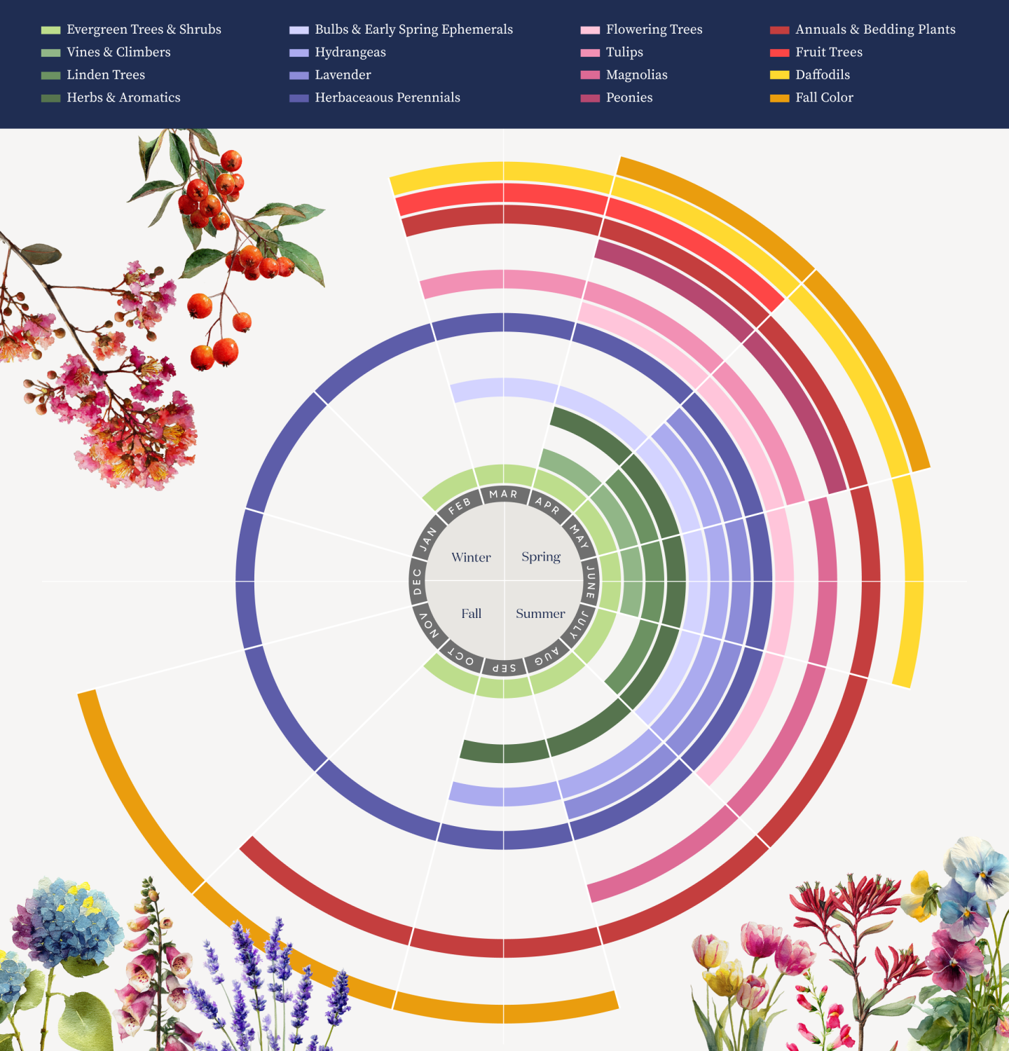 Colorful circular chart with various floral illustrations.